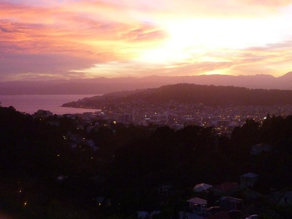 Wellington city sunset