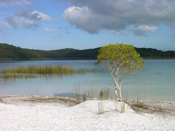 A perched lake on Fraser Island