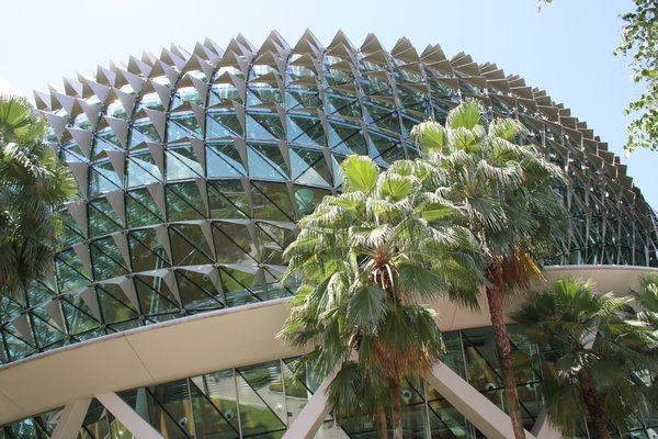 Singapore - Esplanade theatre roof
