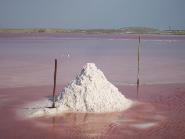 A Pink Lake