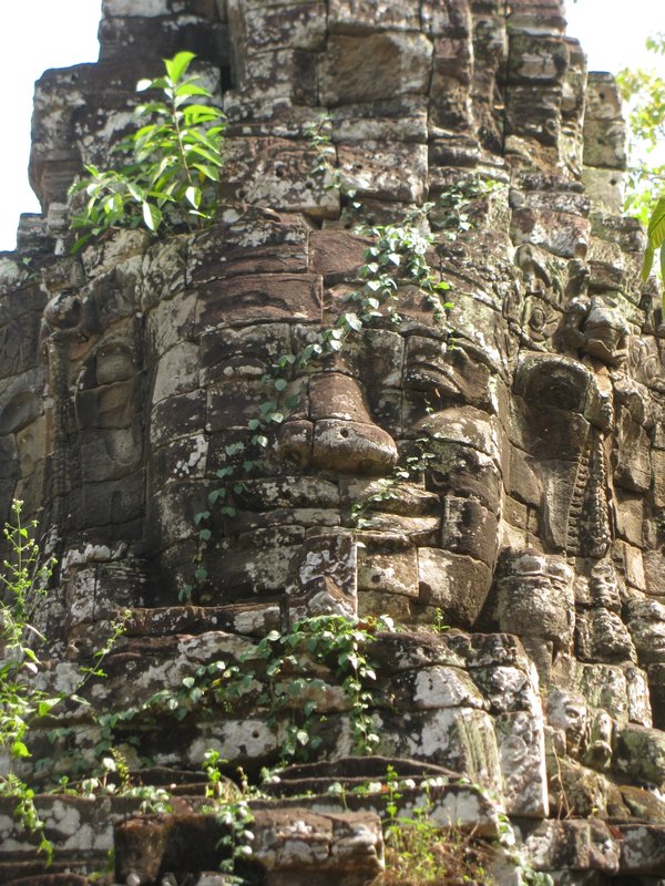 Buddha Head, Angkor