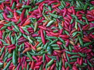 Red and Green Hot Chilli Peppers