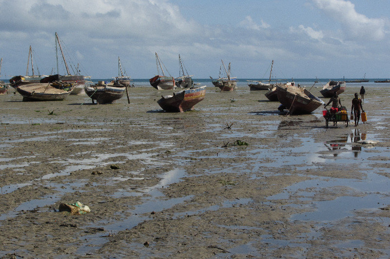 Dhows on the Mud, KWK
