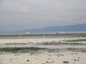 San Isidro, Babak, Samal Island