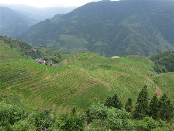 Longsheng Rice Terraces