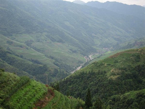 View from the road up to the Longsheng Rice Terraces - also known as "the road of death"