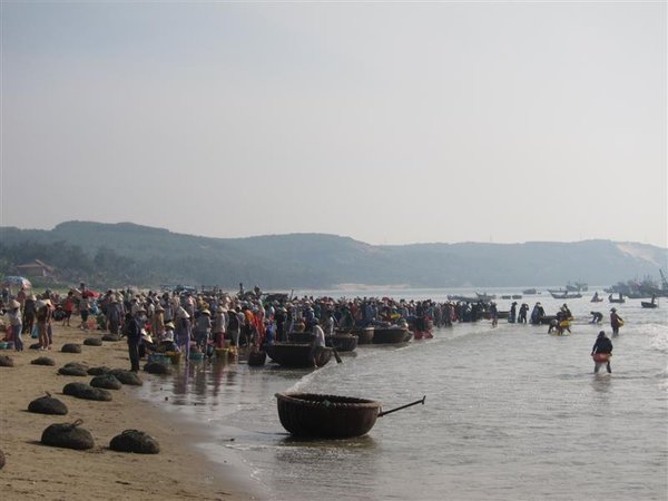 Mui Ne Fishing village - bringing the catch ashore