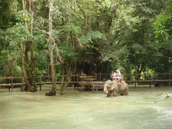 People taking an elephant ride near the waterfall