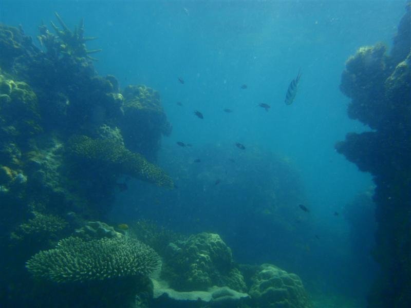 General underwater scene