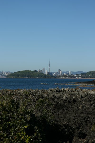 View to Auckland