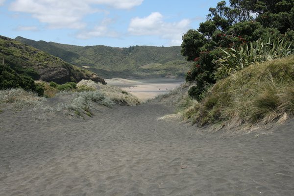 Over the saddle to Bethells Beach