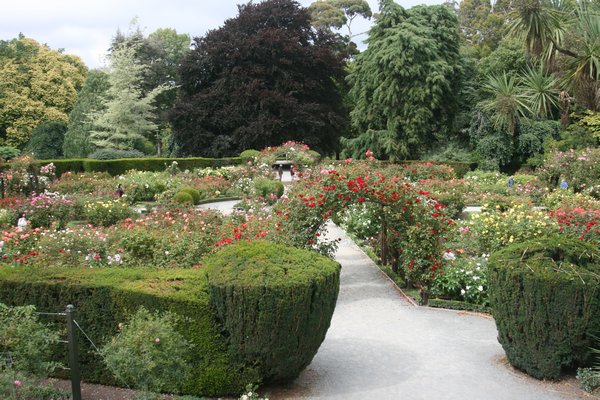 The Botanic Gardens