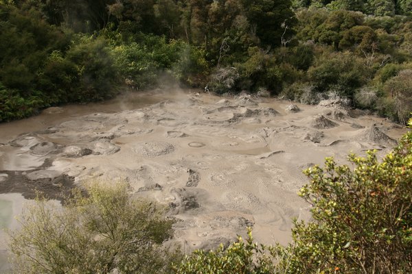 The Mud Pools