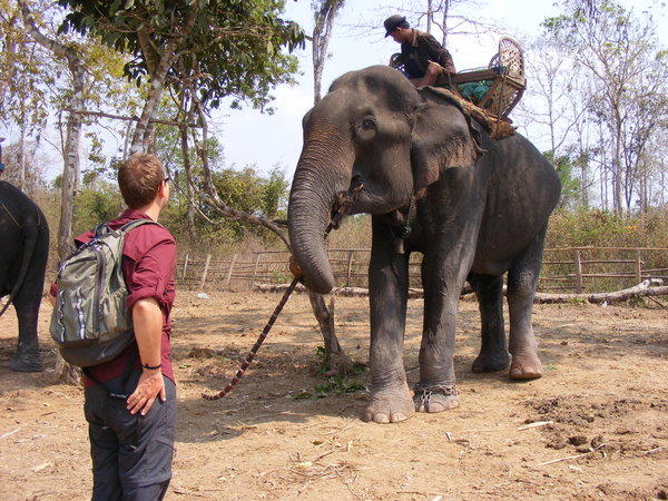 Feeding an Elephant
