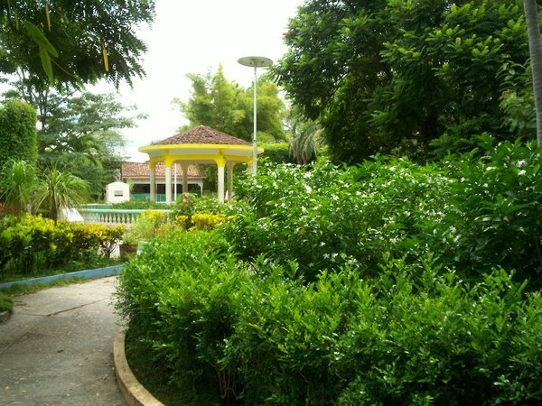 A garden-plaza.