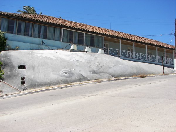 Graff la baleineÂ°Â°