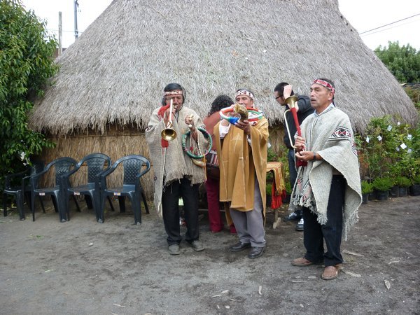 des musiciens de la fÃªte, Mapuche 