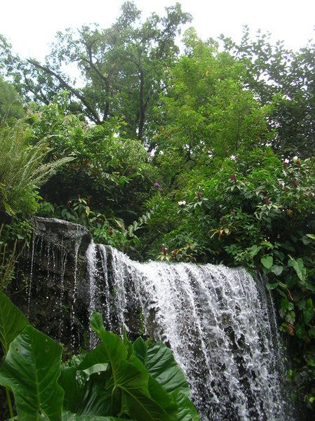 Botanic Garden Waterfall