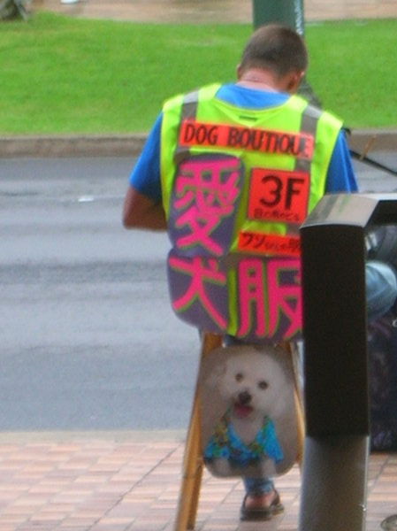 Dog Boutique