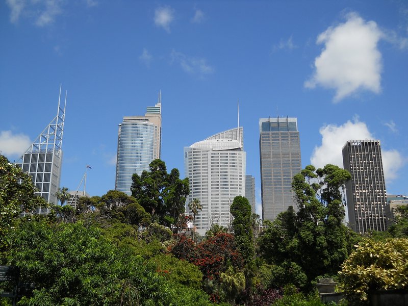 CBD from the park