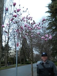 w on magnolia watch day 2
