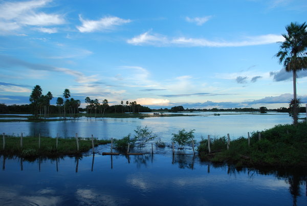 Pantanal at Sunset