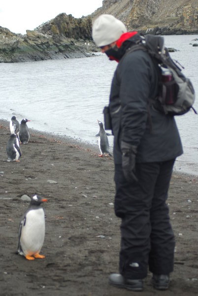 Will and a Gentoo Penguin