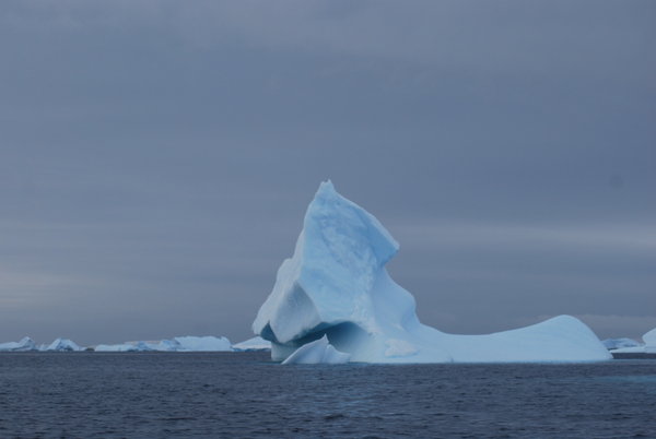 One of many Icebergs