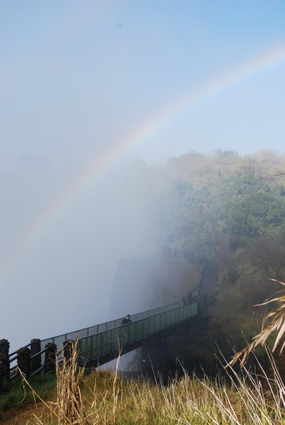 Victoria Falls from the ground II