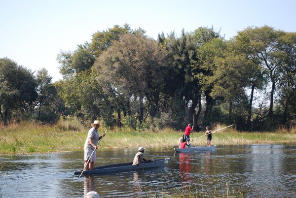 Will poling on the Okavango Delta