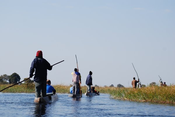 Polers on Okavango Delta