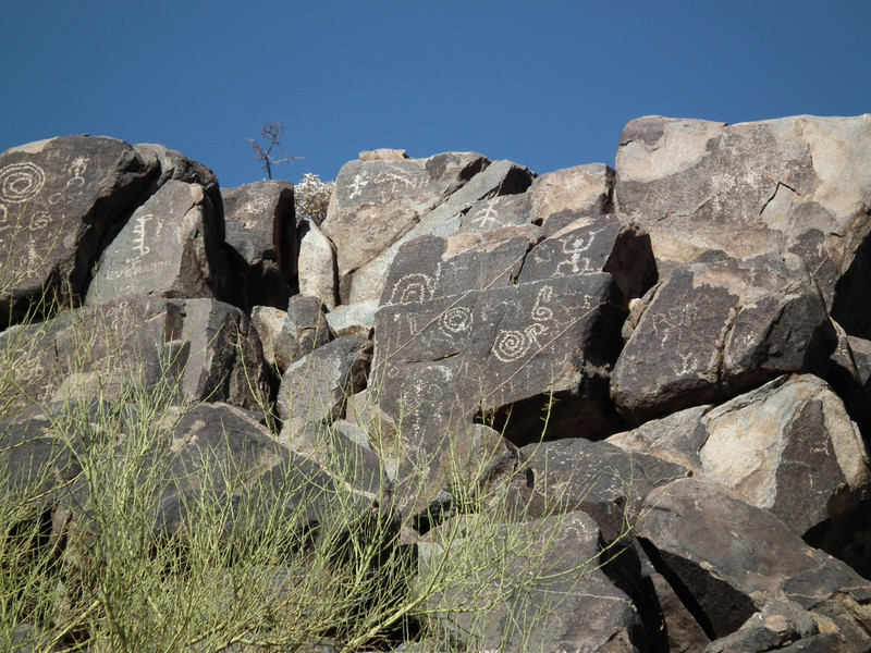 Petroglyphs in Saguaro national park