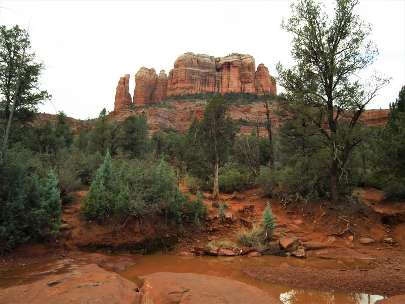 cathedral rock