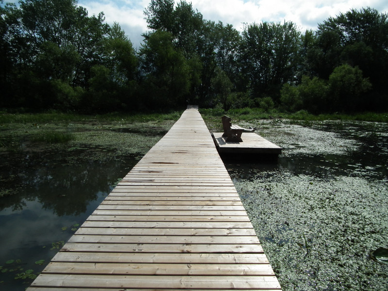 wooden path to cross the channel