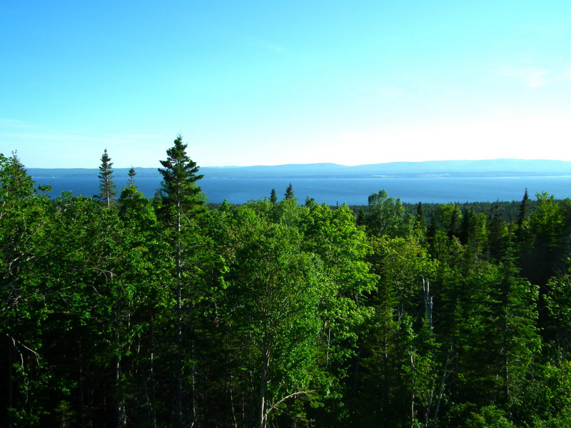 viewpoint of Gaspe bay