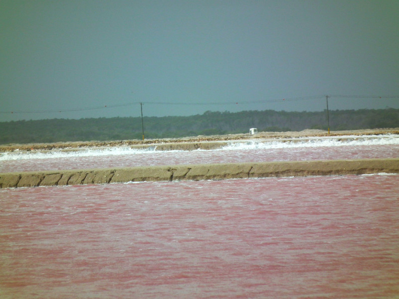 Other view of pink lake