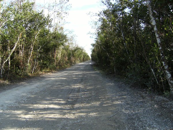 Gravel road 