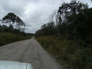 road to Xpujil
