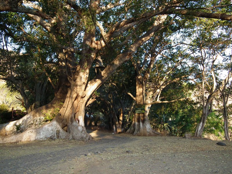 Santa Maria de Oro, Nayarit