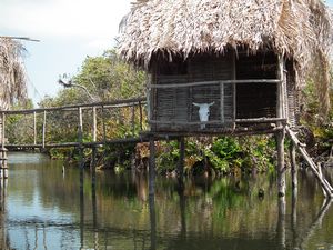 San Blas, Mangroves