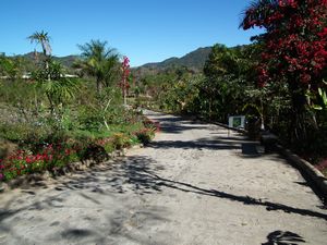 Puerto Vallarta botanical garden