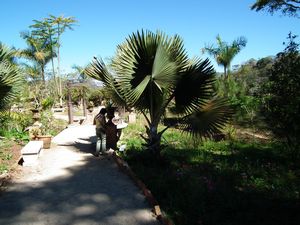 Puerto Vallarta botanical garden