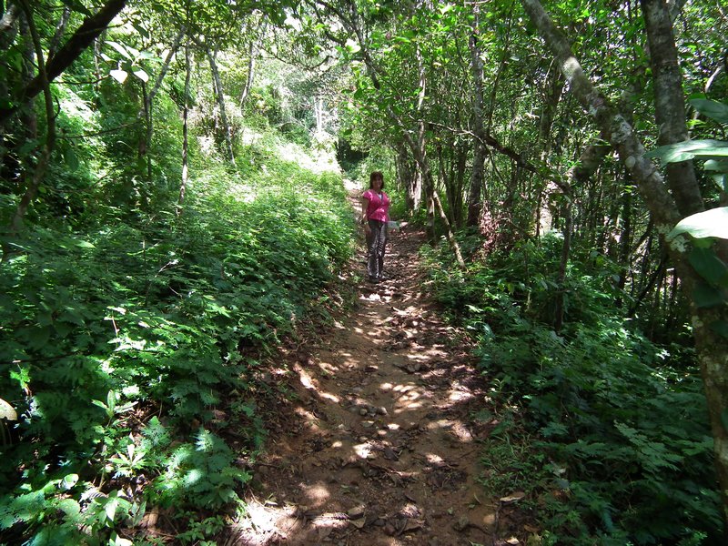 Trail in Altos de Campana