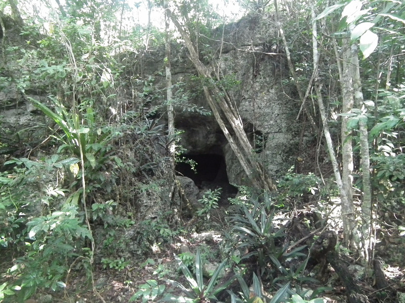 entrance of the cave