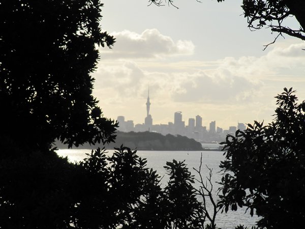 Auckland from Achilles Point