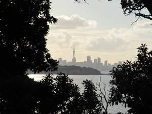 Auckland from Achilles Point Auckland from Achilles Point