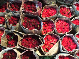 Wholesale Flower Market