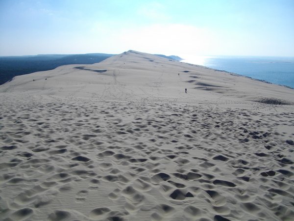 Dune