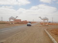 Boujdour, Western Sahara