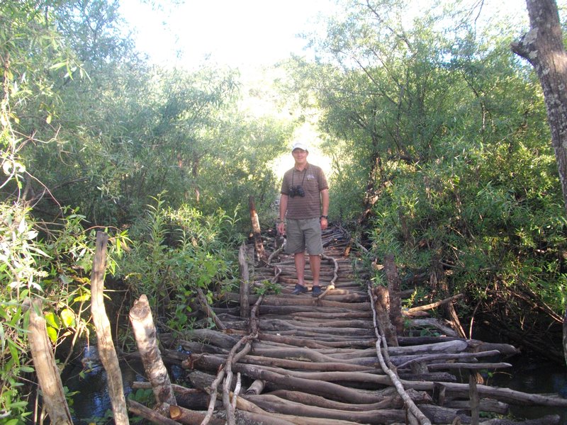 Zambian bridge